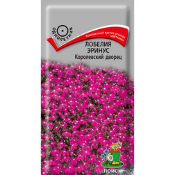 ����  ������� ������ ����������� ������, ������ �� 43 ���