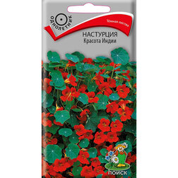 ����  ��������� ������� �����, ������ �� 26 ���