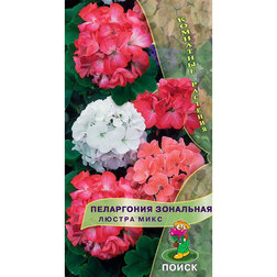 ����  ���������� ��������� ������ ����, ������ �� 135 ���