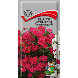 ����  ������� ��������� ������ ������� F1, ������ �� 52 ���