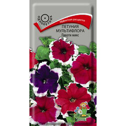 ����  ������� ����������� ������ ����, ������ �� 61 ���