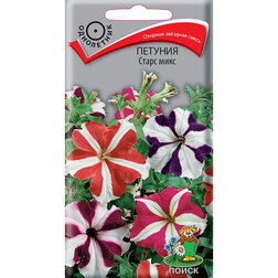 ����  ������� ����� ����, ������ �� 35 ���