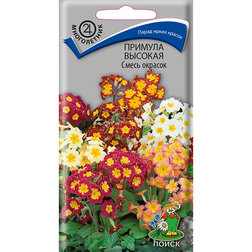 ����  ������� ������� ����� �������, ������ �� 26 ���