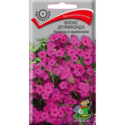 ����  ����� ��������� �������� � ���������, ������ �� 26 ���