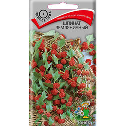 ����  ������ �����������, ������ �� 26 ���