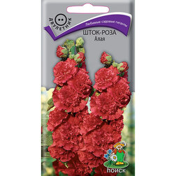 ����  ����-���� ����, ������ �� 26 ���