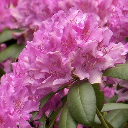 ����  ����������� ������������ ������ �������, ������ �� 935 ���