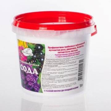 ����  ���� ���������������� � ������������ (����� 1�), ������ �� 273 ���