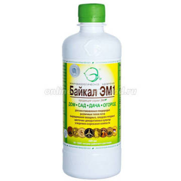 ����  ������ ��-1(0,5�.), ������ �� 175 ���