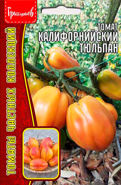 ����  ������ ��������� ����� �������������� �������, 5 ��. ������ ������� ���������, ������ �� 113 ���