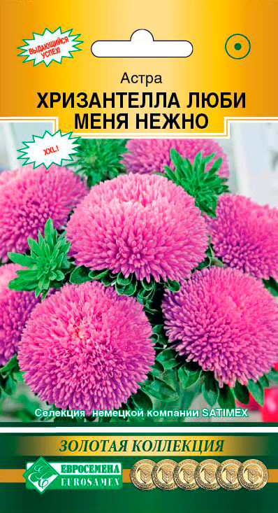 ����  ������ ���������� ����� ��������� ����������� ���� ���� �����, 5 ��. ������� ���������, ������ �� 86 ���