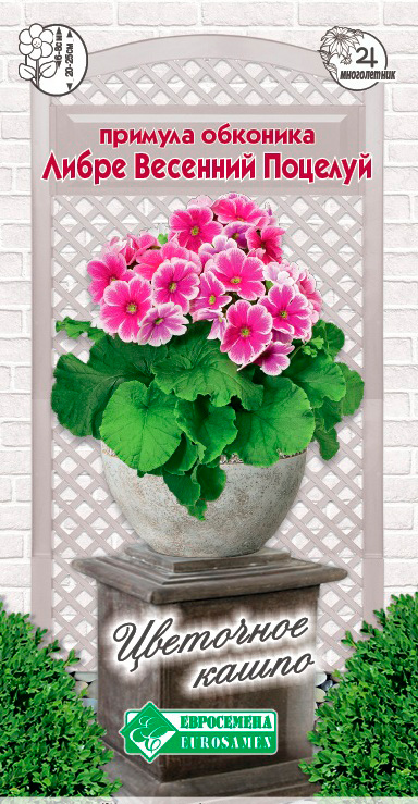 ����  ������ ���������� ������� �������� ����� �������� �������, 5 ��. ��������� �����, ������ �� 135 ���