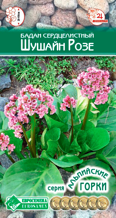 ����  ������ ���������� ����� ������������� ������ ����, 5 ��. ���������� �����, ������ �� 89 ���