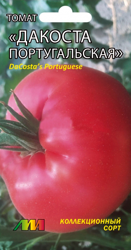          (DaCosta's Portuguese), 5 .      -     , -, 