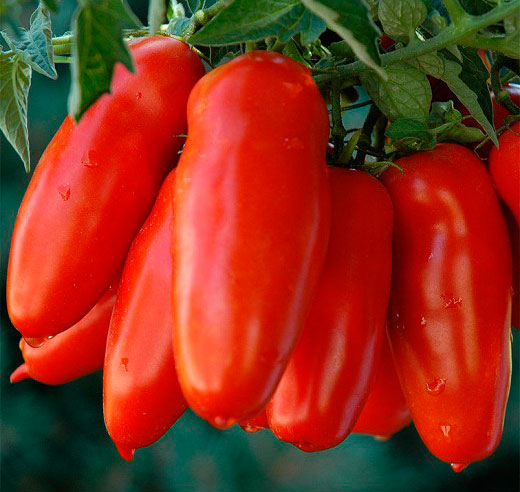 ����  ������ ����� ������ ����� ��� �������, 5 ��., ������ �� 95 ���