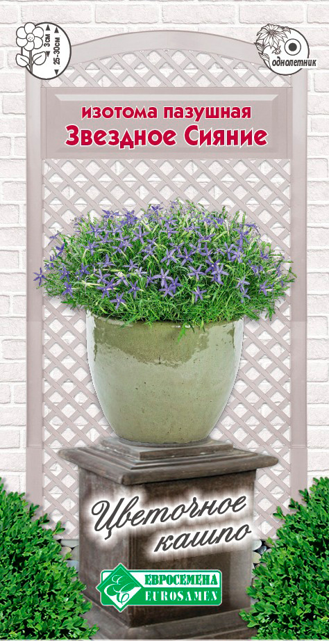 ����  ������ ���������� ������� �������� �������� ������, 5 ��. ��������� �����, ������ �� 68 ���