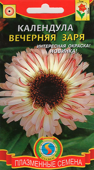 ����  ������ ������� ��������� �������� ����, 0,2 �, ������ �� 39 ���