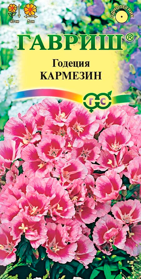 ����  ������ ������ ������� ��������, 0,05 �, ������ �� 35 ���