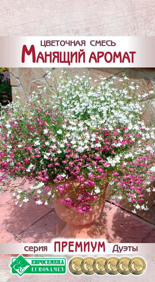 ����  ������ ���������� ��������� ����� ������� ������, 10 ����� ������� �����, ������ �� 95 ���