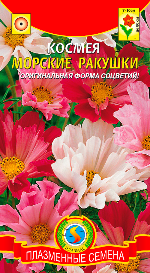 ����  ������ ������� ������ ������� �������, �����, 0,3 �, ������ �� 45 ���