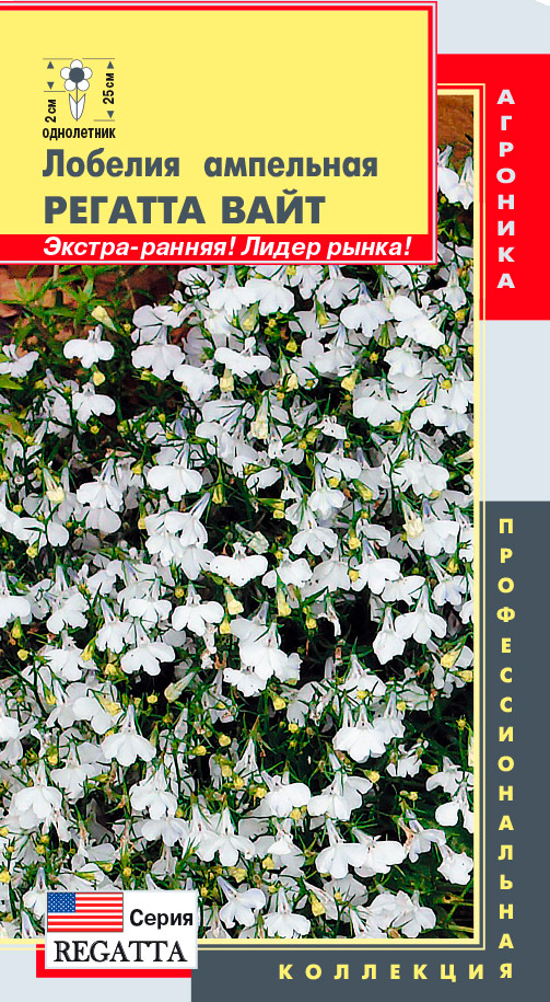 ����  ������ ������� ������� ��������� ������� ����, 8 ����������� ���������������� ���������, ������ �� 75 ���