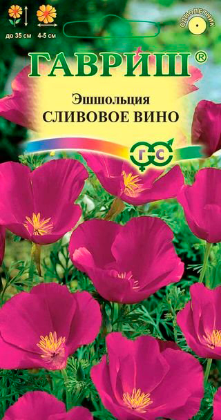 ����  ������ ������ ��������� �������� ����, 0,2 �, ������ �� 35 ���