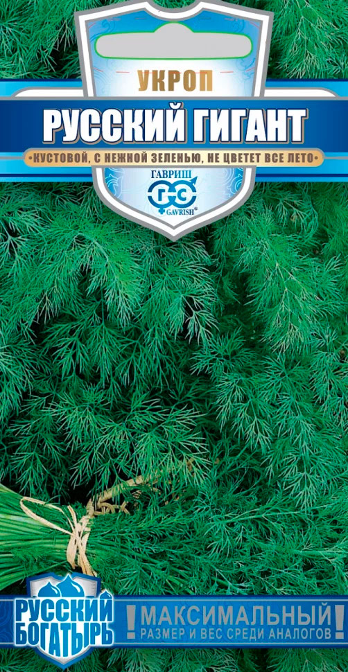 ����  ������ ������ ����� ������� ������, 2 � ������� ��������, ������ �� 43 ���