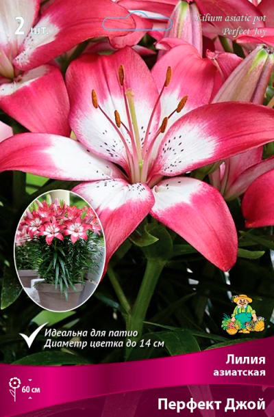 ����  ���������� �������� ����� ��������� ����� ��������� ��������� ������� ����, 2 ��., ������ �� 360 ���