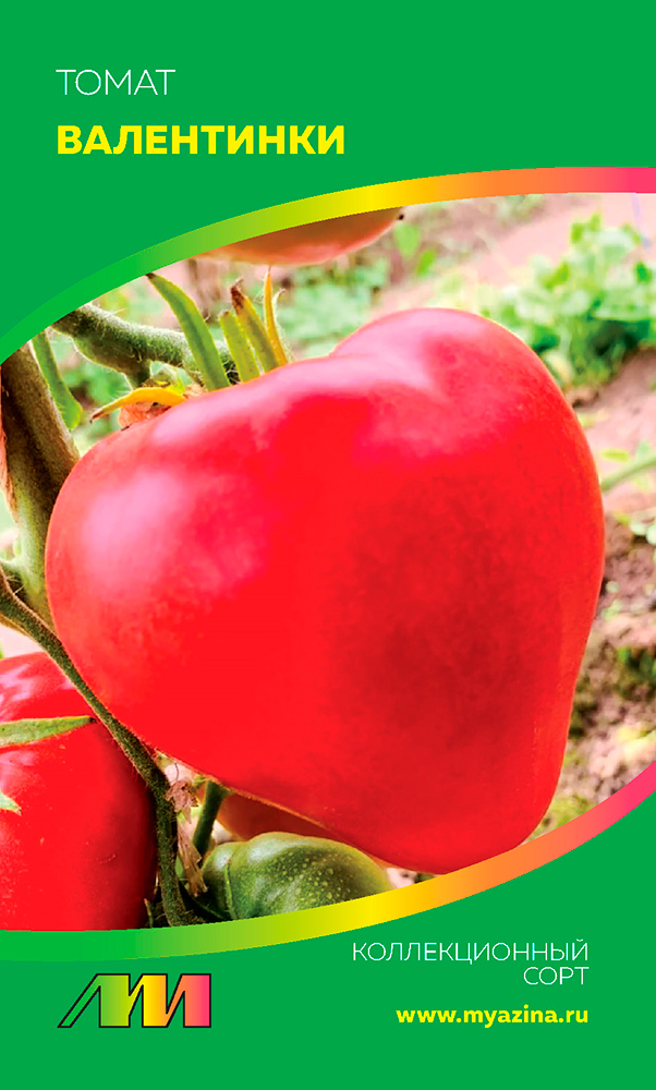 ����  ������ ������ ������ ����������� ����� ����������, 5 ��. ������������� ����, ������ �� 123 ���