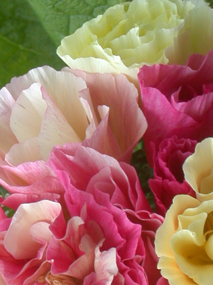 ����  ������ ���������� ��������� �������������� ������, �����, 20 ��. ������ ������� ��������, ������ �� 48 ���