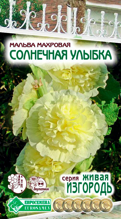 ����  ������ ���������� ������ �������� ��������� ������, 0,1 � ����� ��������, ������ �� 45 ���