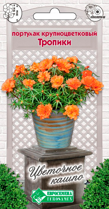 ����  ������ ���������� �������� ��������������� �������, 10 ��. ��������� �����, ������ �� 125 ���