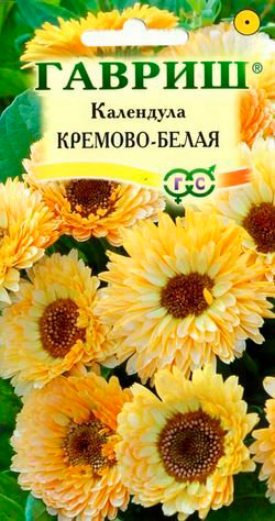 ����  ������ ������ ��������� �������-�����, 0,3 �, ������ �� 35 ���