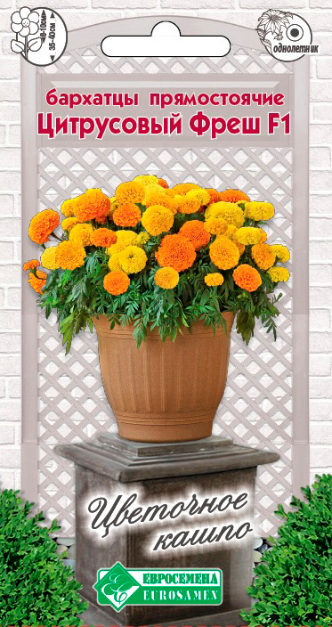 ����  ������ ���������� �������� ������������ ���������� ���� F1, 10 ��. ��������� �����, ������ �� 145 ���