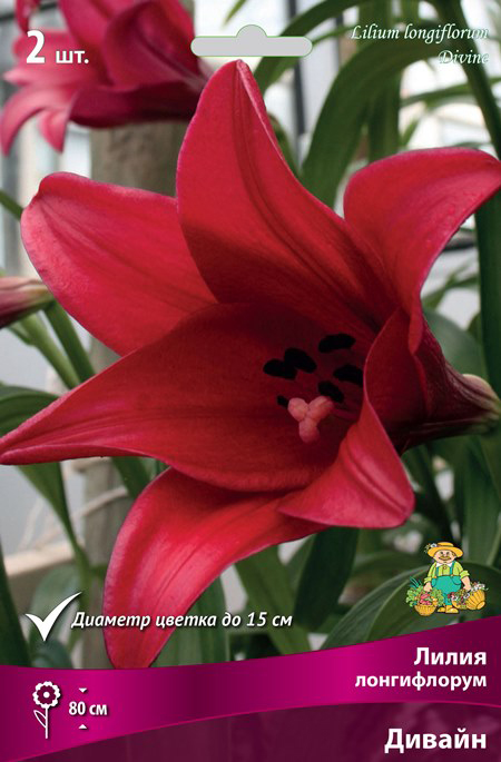 ����  ���������� �������� ����� ��������� ����� ����������� ������, 2 ��., ������ �� 425 ���