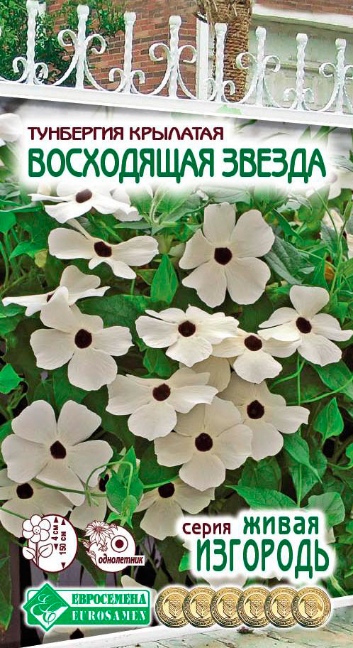 ����  ������ ���������� ��������� �������� ���������� ������, 10 ��. ����� ��������, ������ �� 89 ���