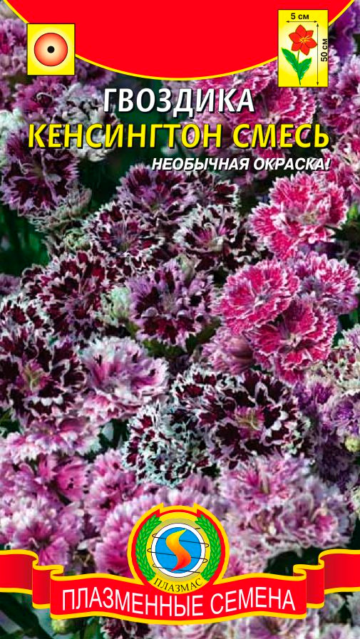 ����  ������ ������� �������� ����������, �����, 0,05 �, ������ �� 45 ���