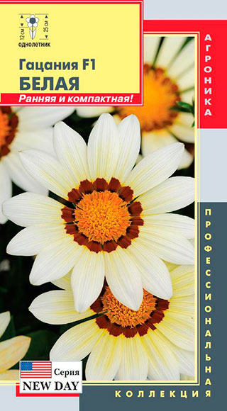 ����  ������ ������� ������� ��� ��� ����� F1, 5 ��. ���������������� ���������, ������ �� 98 ���