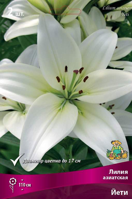 ����  ���������� �������� ����� ��������� ����� ��������� ����, 2 ��., ������ �� 360 ���