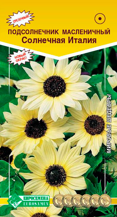 ����  ������ ���������� ������������ ��������� ������, 20 ��., ������ �� 48 ���