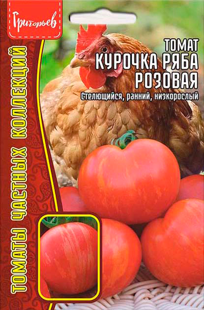 ����  ������ ��������� ����� ������� ���� �������, 10 ��. ������ ������� ���������, ������ �� 118 ���