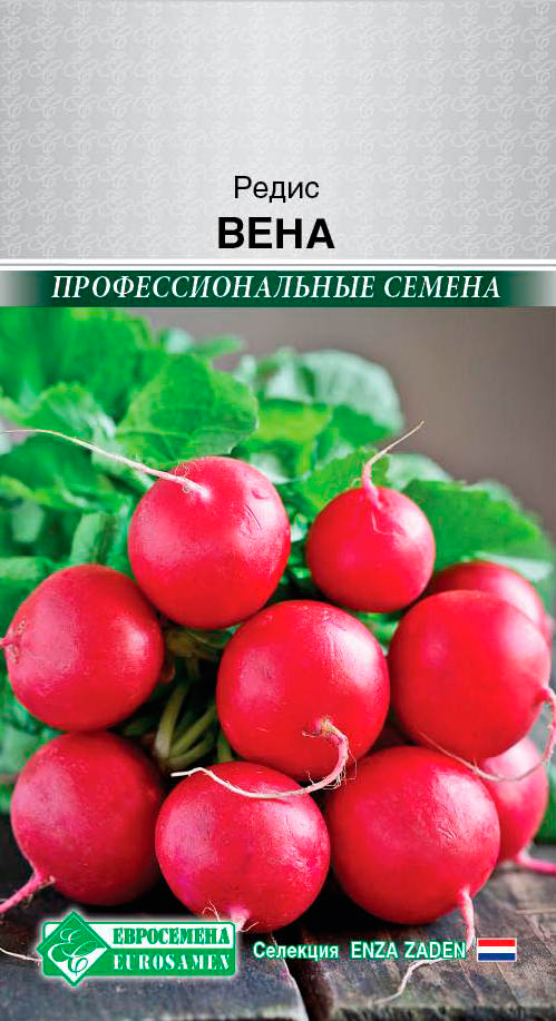 ����  ������ ���������� ����� ����, 0,5 � Enza Zaden ���������������� ������, ������ �� 59 ���