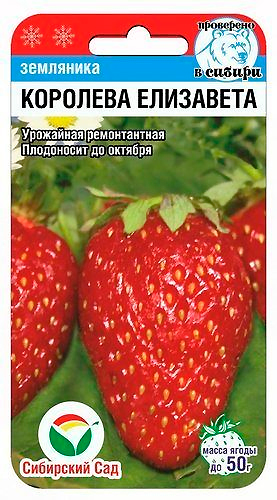 ����  ������ ��������� ��� ��������� ������������� �������� ���������, 10 ��., ������ �� 95 ���