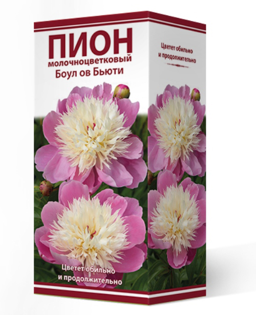 ����  ���������� �������� ����� ��������� ���� ���������������� ���� �� �����, 1 ��., ������ �� 775 ���