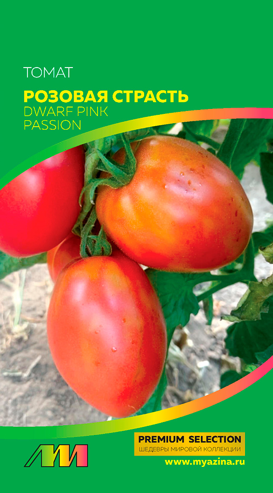          (Dwarf Pink Passion), 5 . Premium Selection    -     , -, 