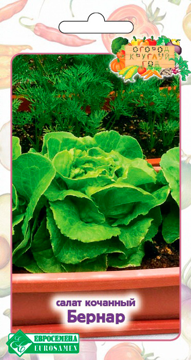 ����  ������ ���������� ����� �������� ������, 0,5 � ������ ������� ���, ������ �� 89 ���