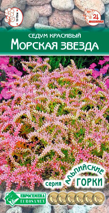 ����  ������ ���������� ����� �������� ������� ������, 10 ��. ���������� �����, ������ �� 68 ���