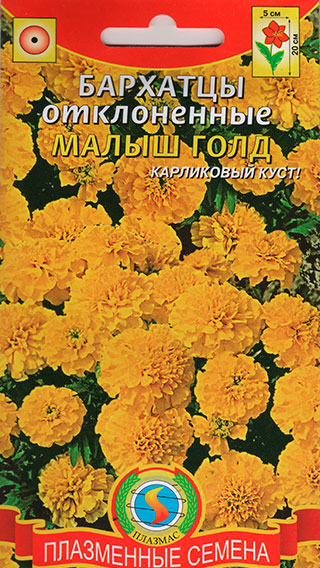 ����  ������ ������� �������� ����������� ����� ����, 30 ��., ������ �� 39 ���