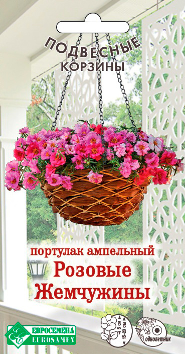 ����  ������ ���������� �������� ��������� ������� ���������, 5 ����� ��������� �������, ������ �� 125 ���