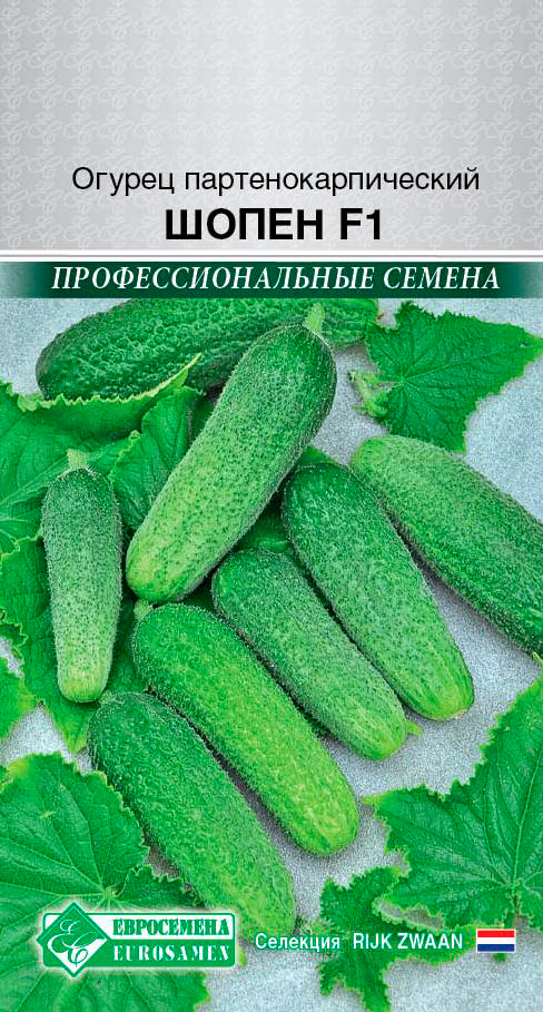 ����  ������ ���������� ������ ����� F1, 5 ��. Rijk Zwaan ���������������� ������, ������ �� 125 ���